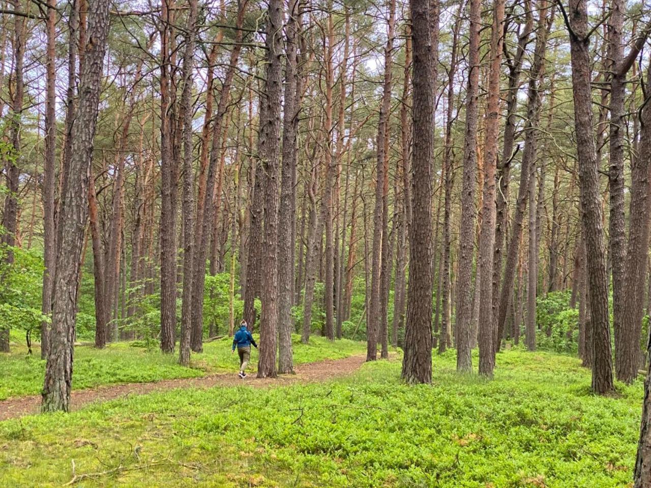 Studio Wiselka Lesna Luaran gambar